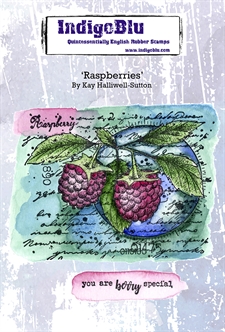 IndigoBlu Cling Stamp - A6 / Raspberries